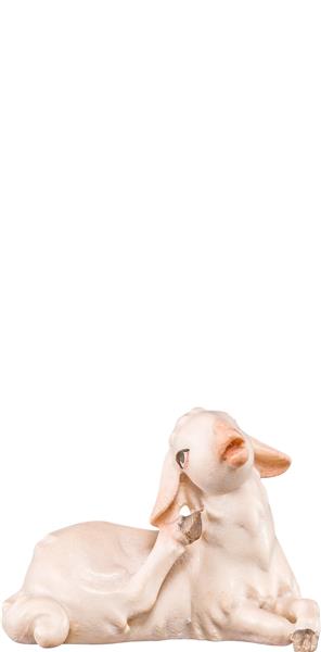 Lamm liegend Artis Lamm liegend Artis