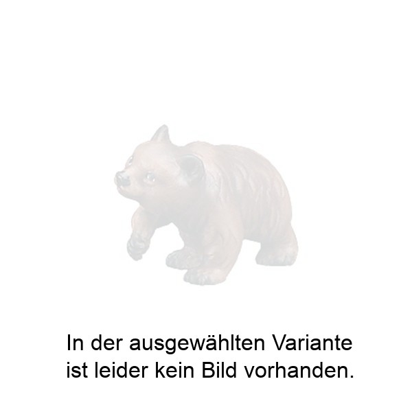 Junger Bär