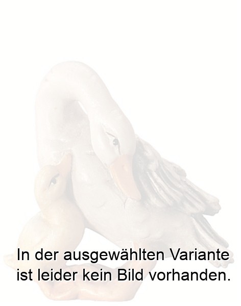 Gans mit Küken