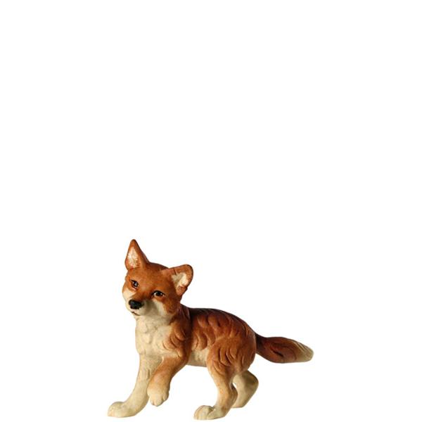 Fuchswelpe Pfote hoch Fuchswelpe Pfote hoch