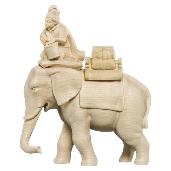 Elefant mit Reiter und Gepäck