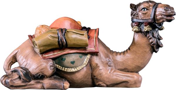 Kamel liegend Kamel liegend