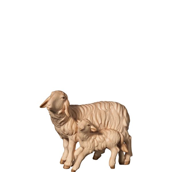 Schaf und Lamm stehend Schaf und Lamm stehend