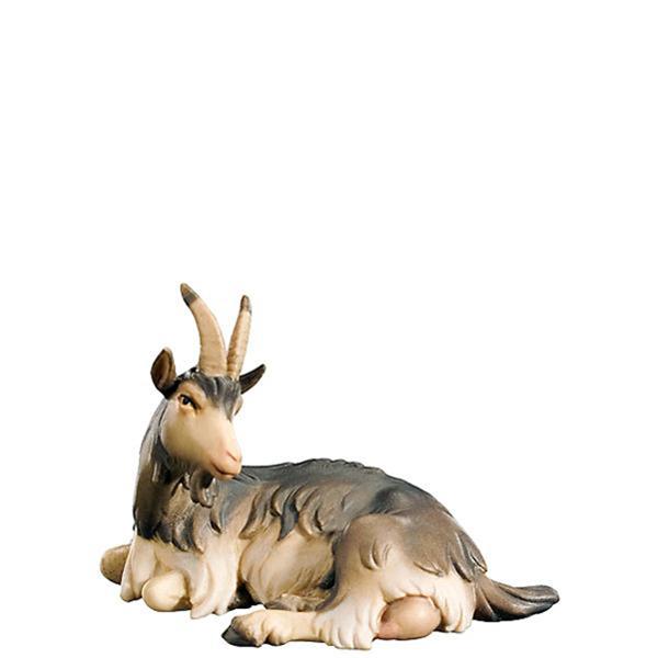 Ziege liegend Ziege liegend