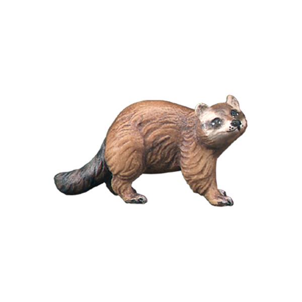 Waschbär