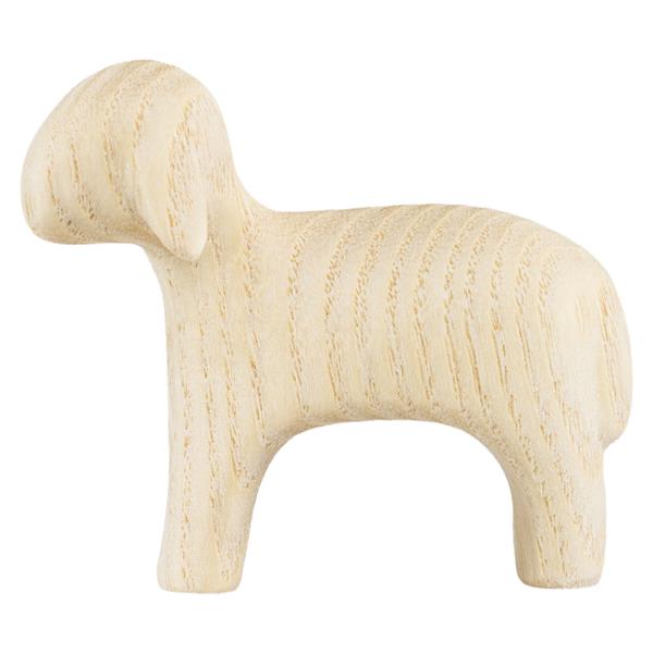 Schwarzes Schaf schauend Schwarzes Schaf schauend