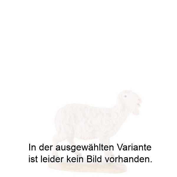 Schaf stehend Schaf stehend