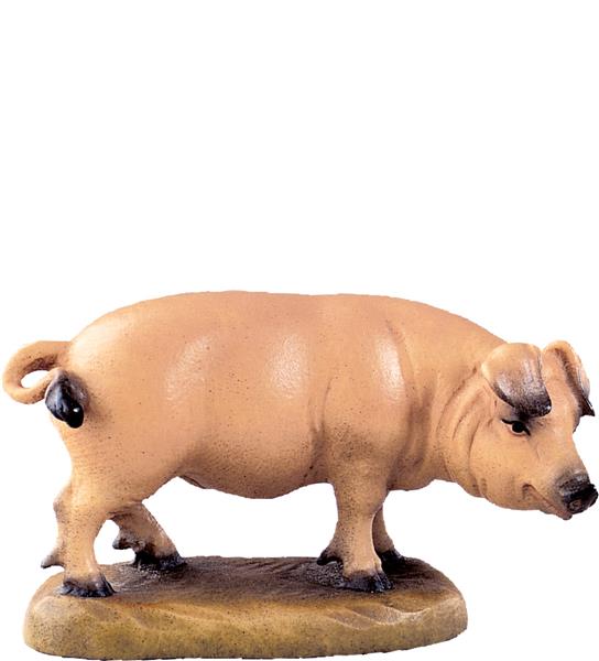 Schwein