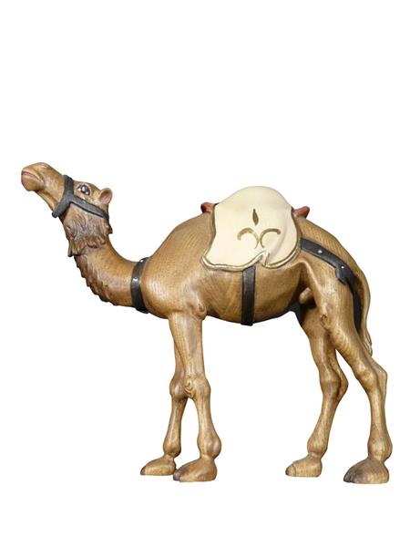 Kamel