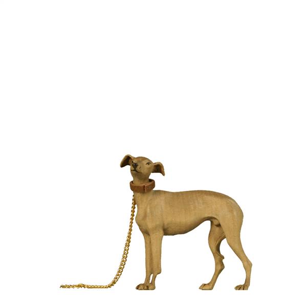 Windhund Windhund