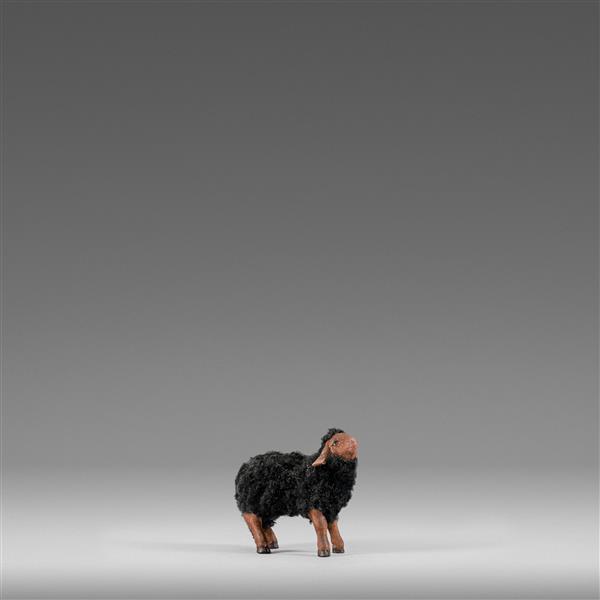 Lamm mit Wolle schwarz Lamm mit Wolle schwarz