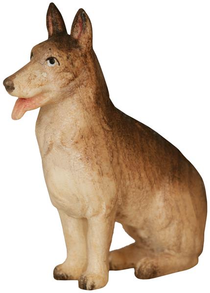 Schäferhund sitzend Schäferhund sitzend