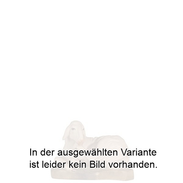 Schaf liegend Schaf liegend