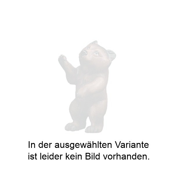 Rankender junger Bär Rankender junger Bär