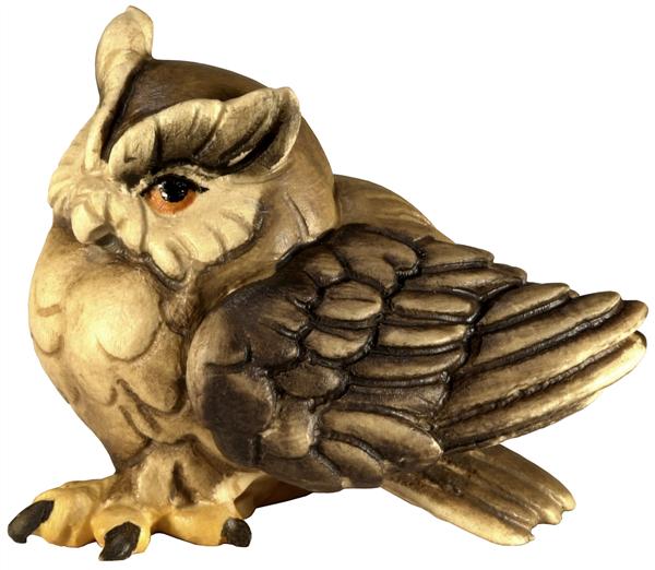 Zwergohreule Zwergohreule