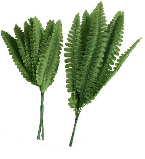 Palmblätter Palmblätter