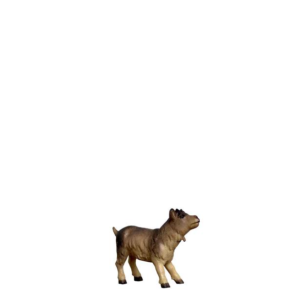 Kitz