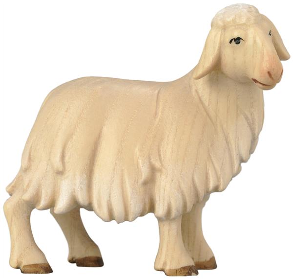 Schaf stehend