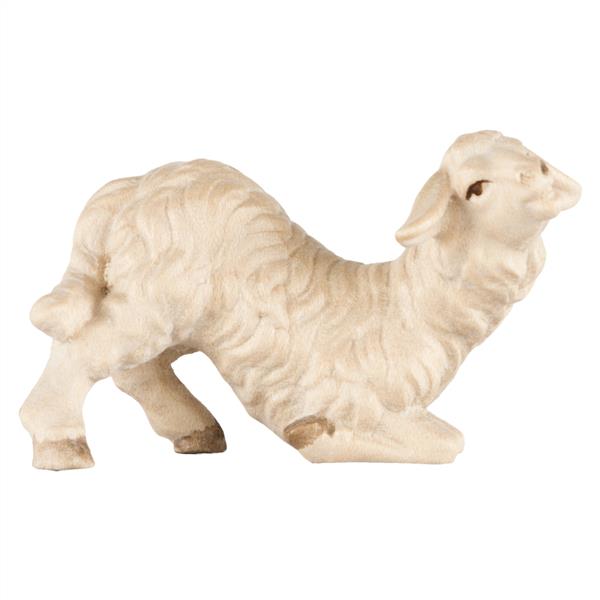 Schaf kniend Schaf kniend