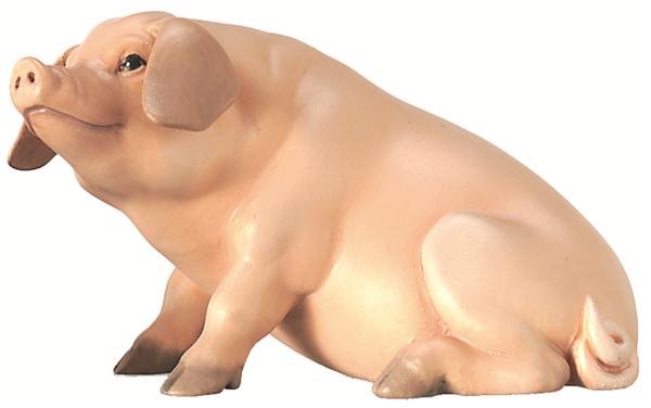 Schwein Schwein