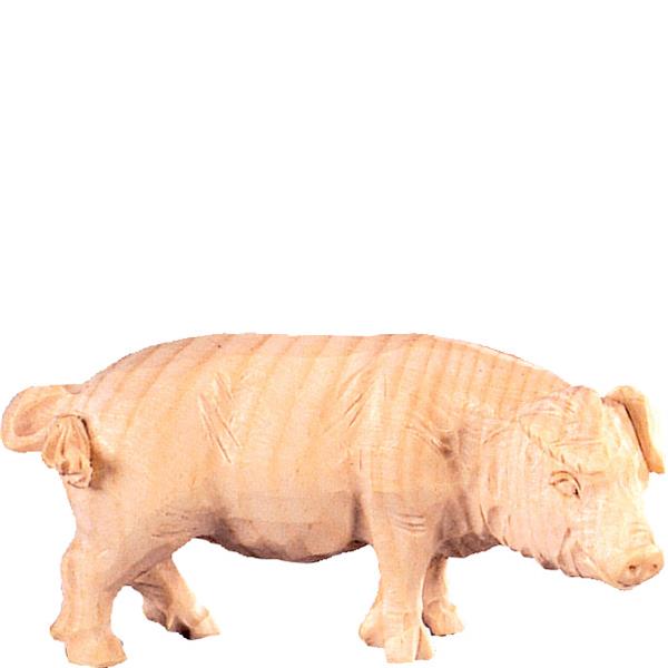 Schwein