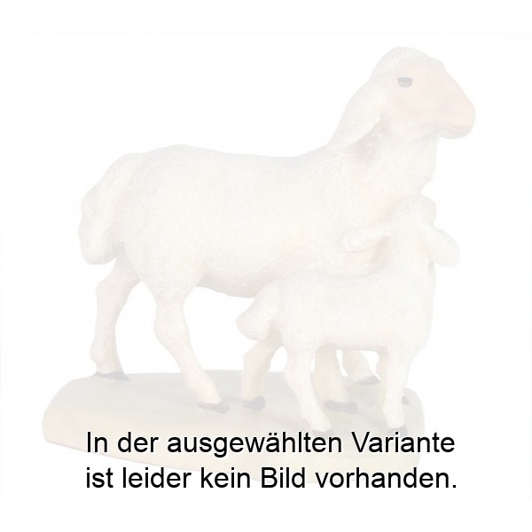 Schaf mit Lamm