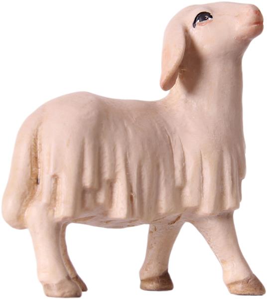 Schaf schauend