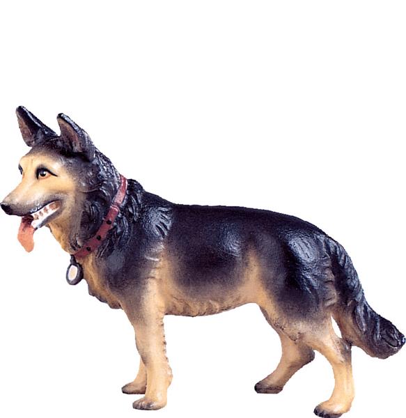 Schäferhund Schäferhund