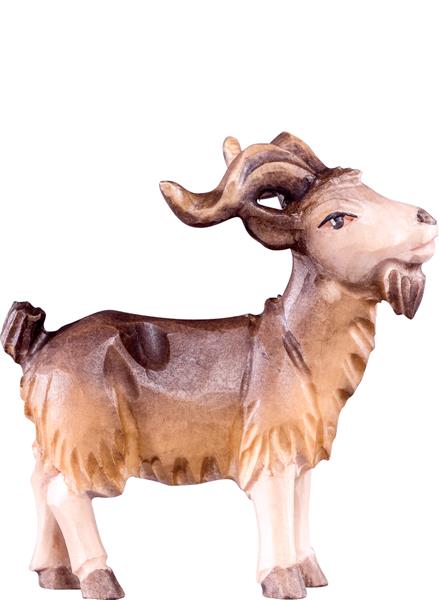 Ziegenbock