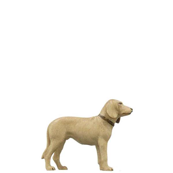 Jagdhund Jagdhund