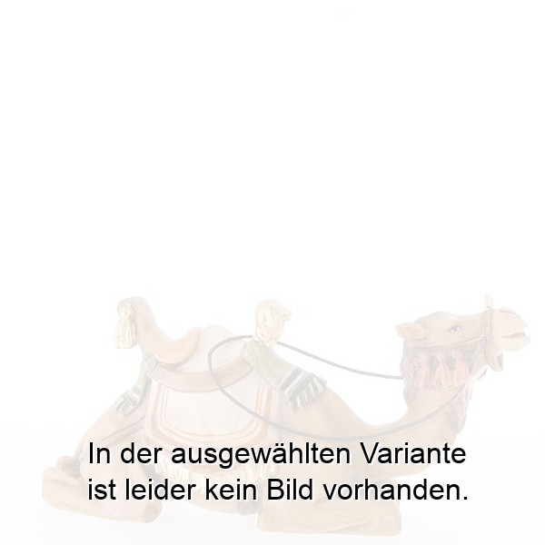 Liegendes Kamel Liegendes Kamel