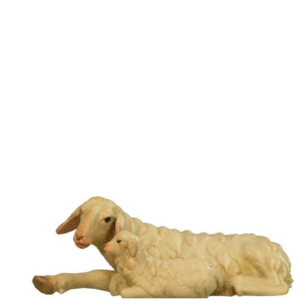 Mutterschaf liegend Mutterschaf liegend