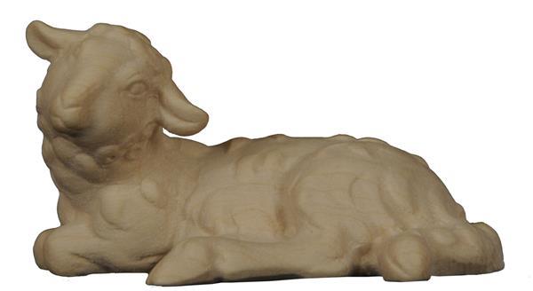 Schwarzes Schaf liegend Schwarzes Schaf liegend