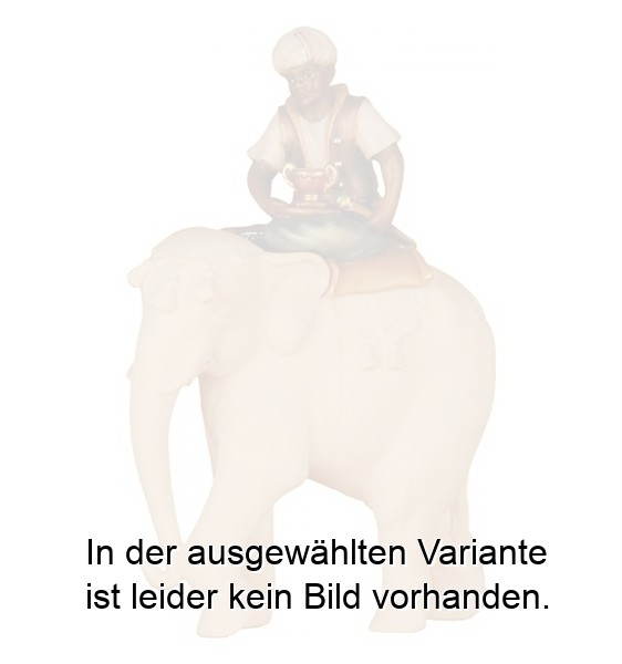 Elefantenreiter (ohne Elefant) Elefantenreiter (ohne Elefant)