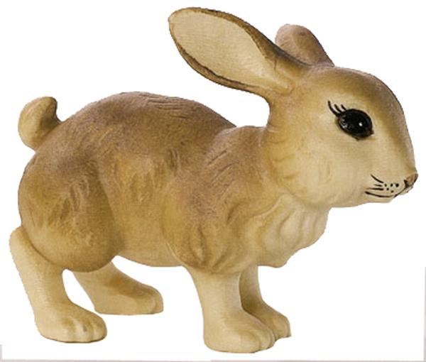 Hase hoppelnd