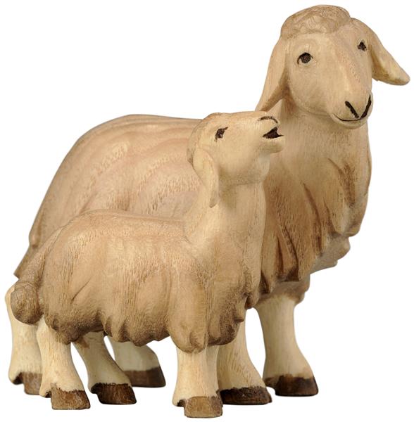 Schaf mit Lamm