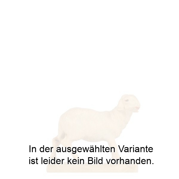 Schaf stehend Schaf stehend