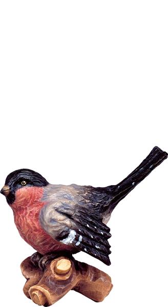 Vogel auf Ast rot