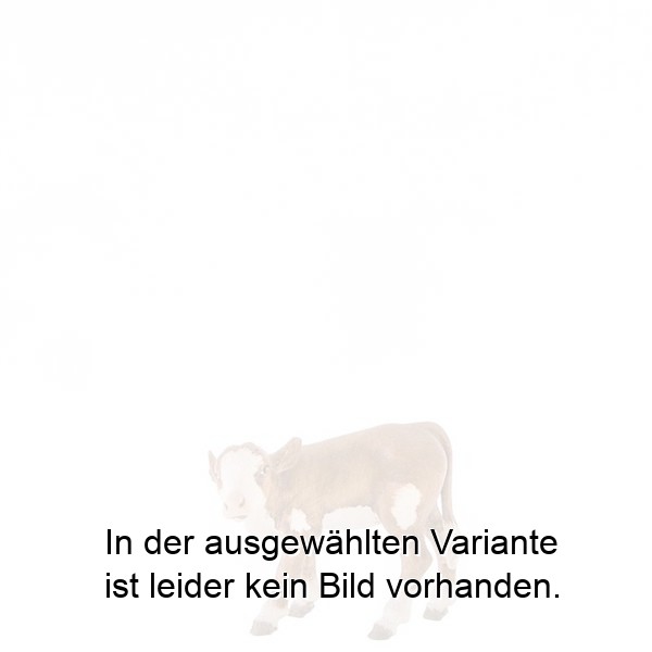 Kalb Kalb