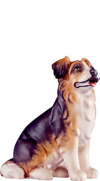 Schäferhund Artis Schäferhund Artis