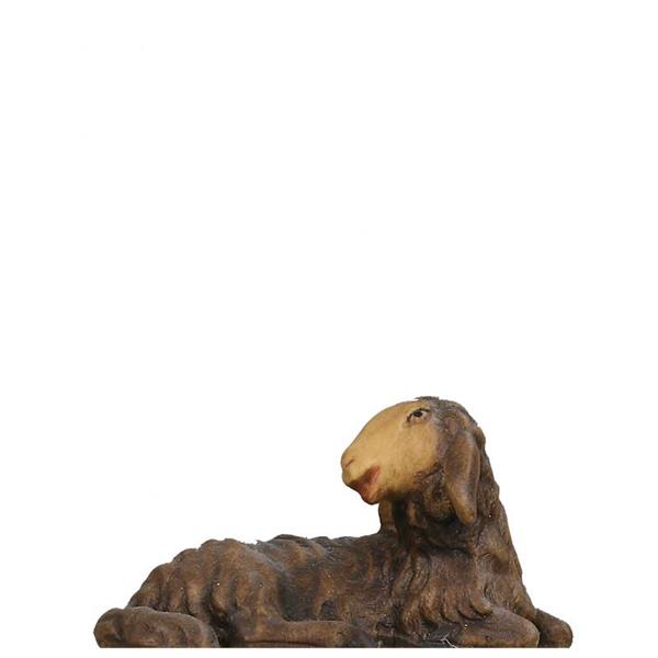 Schaf liegend SCHWARZ Schaf liegend SCHWARZ