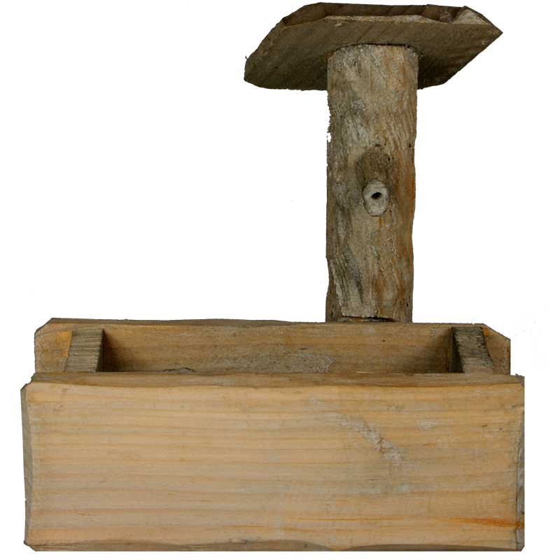 Brunnen Brunnen