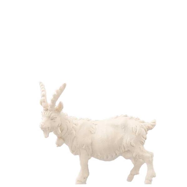 Ziege Ziege