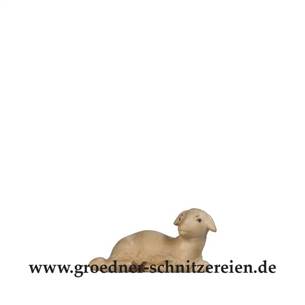 Lamm liegend