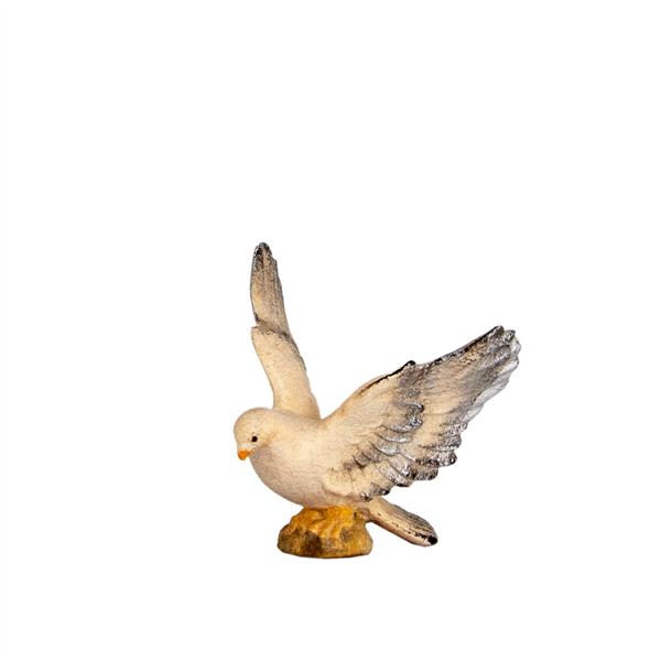 Taube rechts Taube rechts