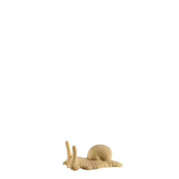Grosse Schnecke