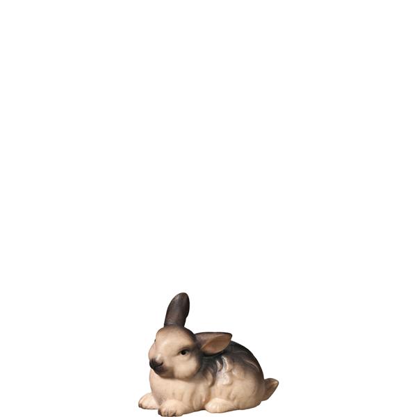Hase hockend