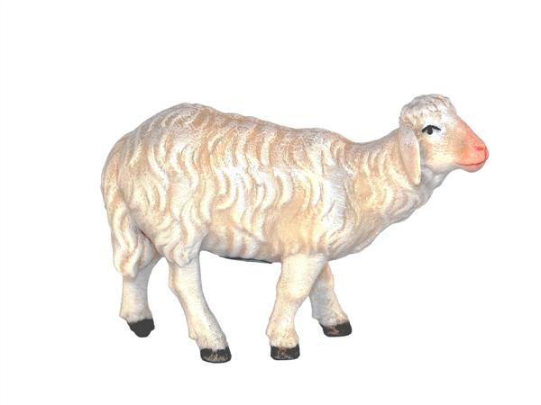 Schaf stehend Schaf stehend