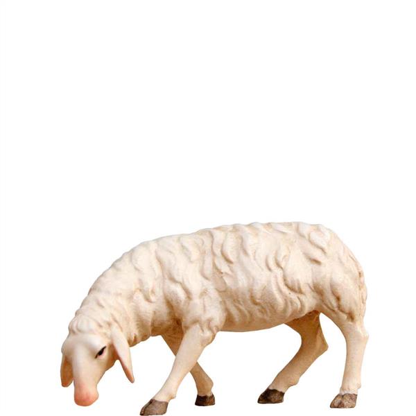 Schaf fressend Schaf fressend