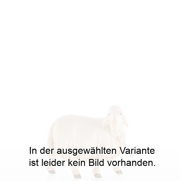 Schaf nach hinten schauend
